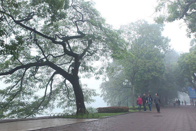 sap-don-dot-khong-khi-lanh-manh-nhat-tu-dau-mua-nhiet-do-bac-bo-giam-manh-co-noi-xuong-1-do-c