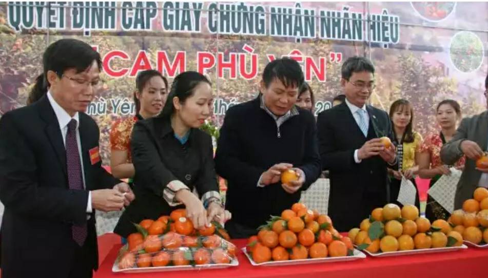 cam-phu-yen-duoc-cuc-so-huu-tri-tue-cong-nhan-nhan-hieu-cam-xin
