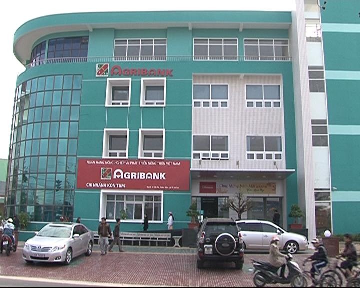 agribank-rao-ban-nha-may-thuy-dien-dak-mek-3-lan-thu-2-giam-10-gia-dau