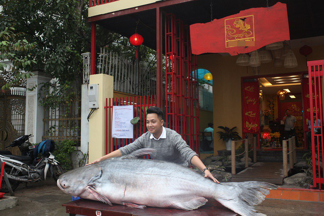thuy-quai-nang-160kg-tri-gia-hang-tram-trieu-cua-dai-gia-ha-noi-co-gi-dac-biet
