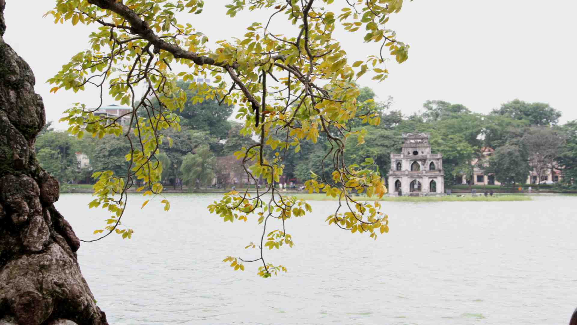 nhung-diem-du-lich-gan-ha-noi-hot-nhat-dip-dau-nam-mau-tuat-2018