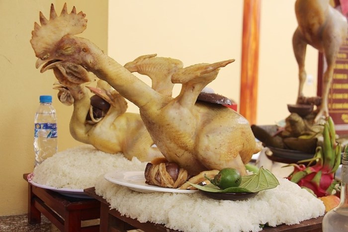 ga-sieu-mau-dung-quy-bay-cuc-doc-trong-mam-co-cung-ram-thang-gieng-o-ha-tinh