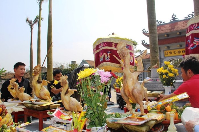 ga-sieu-mau-dung-quy-bay-cuc-doc-trong-mam-co-cung-ram-thang-gieng-o-ha-tinh