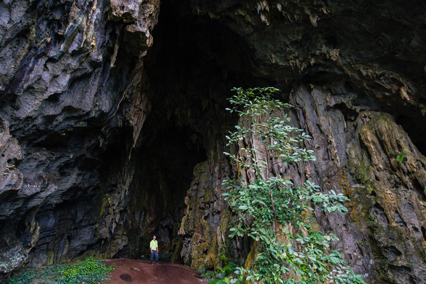hang-dong-khung-500-tuoi-dep-rung-roi-chua-tung-thay-o-viet-nam