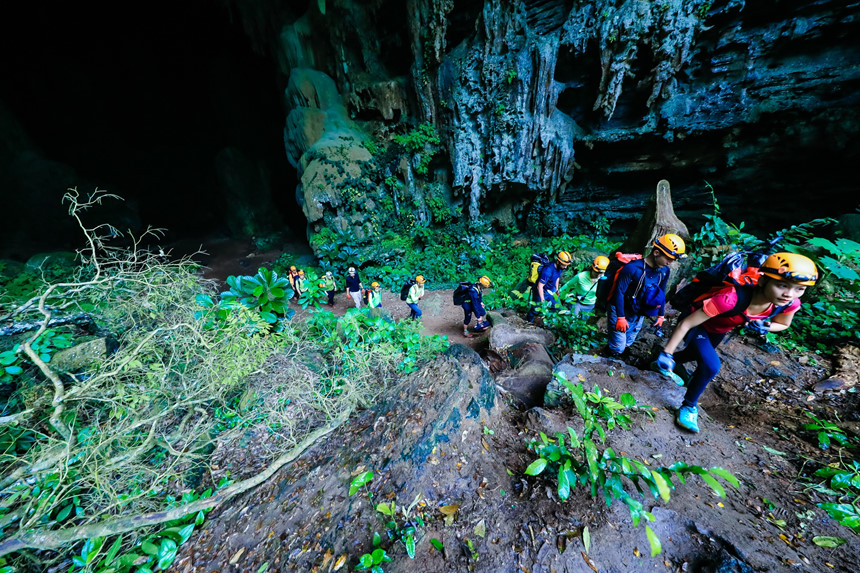 hang-dong-khung-500-tuoi-dep-rung-roi-chua-tung-thay-o-viet-nam