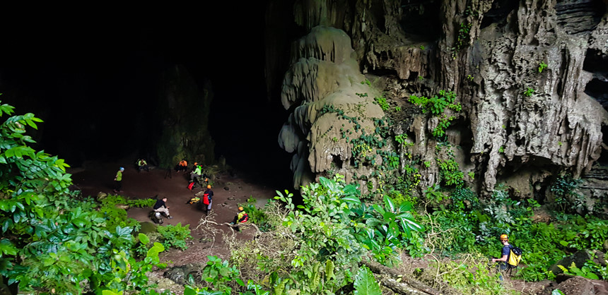 hang-dong-khung-500-tuoi-dep-rung-roi-chua-tung-thay-o-viet-nam