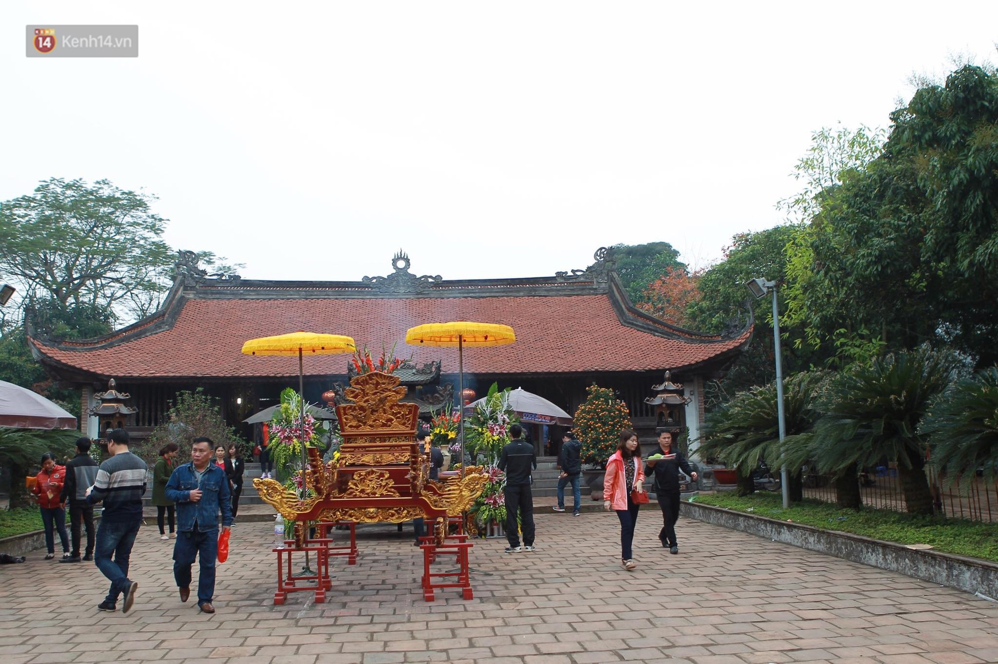den-tran-khai-an-chen-lan-cuop-loc-cong-duc-nhieu-tien-se-duoc-nhieu-an