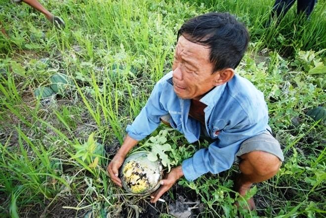 N&ocirc;ng sản được m&ugrave;a mất gi&aacute;