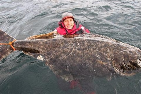 Erik Axner v&agrave; con c&aacute; bơn khổng lồ nặng 100kg