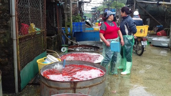 Chợ c&aacute; ch&eacute;p đỏ Sở Thượng lớn nhất H&agrave; Nội