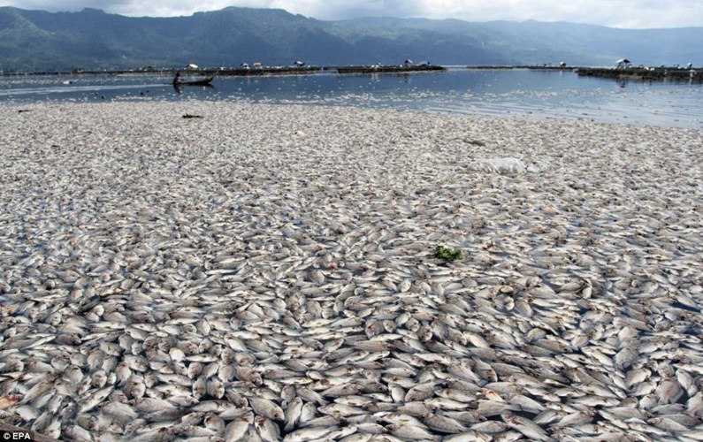 H&igrave;nh ảnh đ&aacute;ng sợ tr&ecirc;n hồ Maninjau, Indonesia do sự thay đổi đột ngột của thời tiết