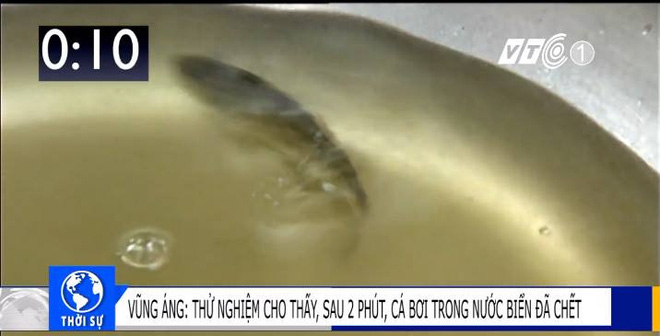 ca-chet-sau-2-phut-boi-trong-nuoc-bien-vung-ang