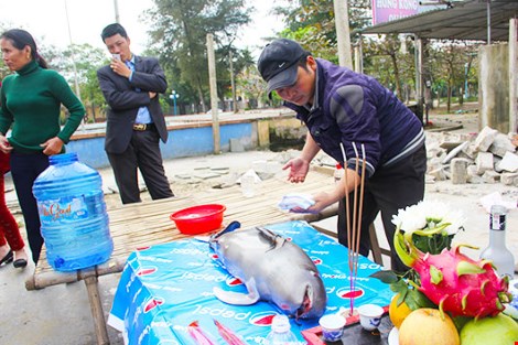 c&aacute; &ocirc;ng dạt v&agrave;o bờ biển được người d&acirc;n l&agrave;m lễ an t&aacute;ng
