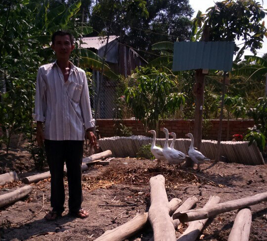 &Ocirc;ng Bỉ tại nơi x&acirc;y dựng ch&ograve;i rộng 35m2 bằng c&acirc;y, l&aacute; v&agrave; bị đề nghị truy tố