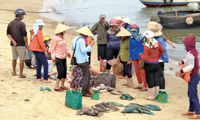 c&aacute; chết h&agrave;ng loạt ở miền trung