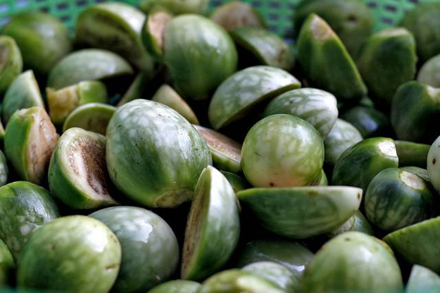 C&agrave; đắng - m&oacute;n kho&aacute;i khẩu, thịnh h&agrave;nh ở c&aacute;c gia đ&igrave;nh người T&acirc;y Nguy&ecirc;n