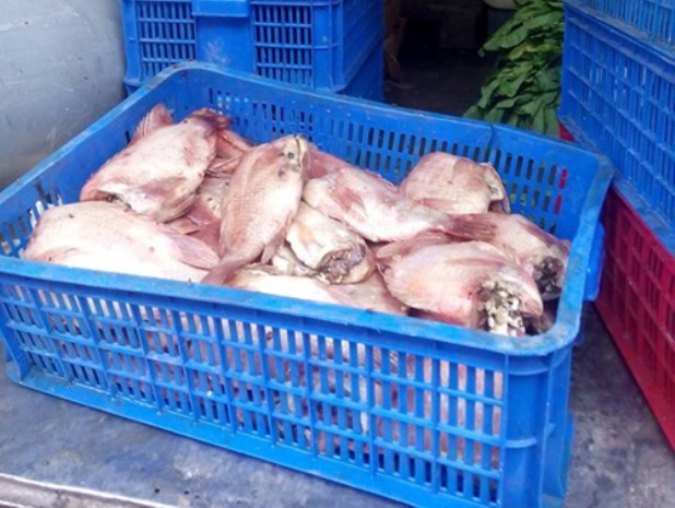học sinh ăn thịt thối