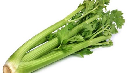 Sử dụng cần t&acirc;y l&agrave; một trong c&aacute;c biện ph&aacute;p tr&aacute;nh thai hiệu quả