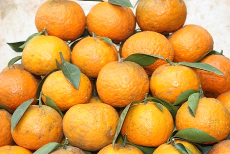 C&aacute;ch chọn cam H&agrave; Giang &lsquo;xịn&rsquo; chuẩn nhất
