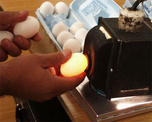 Soi trứng dưới &aacute;nh s&aacute;ng l&agrave; một c&aacute;ch chọn trứng tươi ngon m&agrave; c&aacute;c nh&agrave; nội trợ c&oacute; thể sử dụng