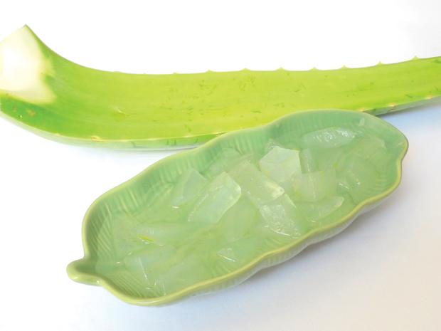 Nha đam l&agrave; nguy&ecirc;n liệu dễ kiếm, hiệu quả