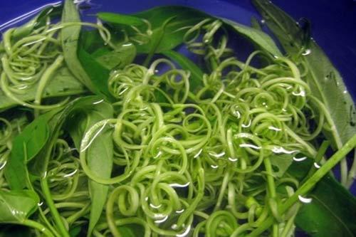 Rau muống phải rửa sạch, ng&acirc;m nước muối để đảm bảo vệ sinh an to&agrave;n 13Win OKVIP Cá cược bóng đá