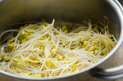 Nguy&ecirc;n liệu l&agrave;m kim chi gi&aacute; đỗ kh&ocirc;ng qu&aacute; cầu k&igrave; m&agrave; dễ mua
