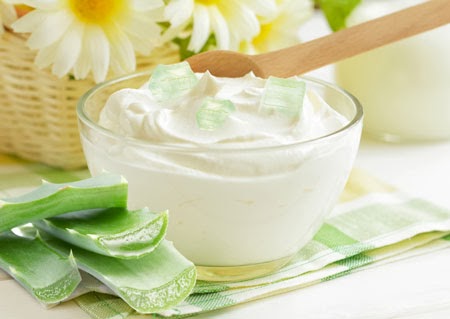 C&aacute;ch l&agrave;m sữa chua nha đam thơm m&aacute;t cho ng&agrave;y h&egrave; - ảnh 1