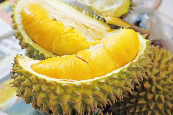 Nhận biết hoa quả ch&iacute;n c&acirc;y hay ch&iacute;n thuốc
