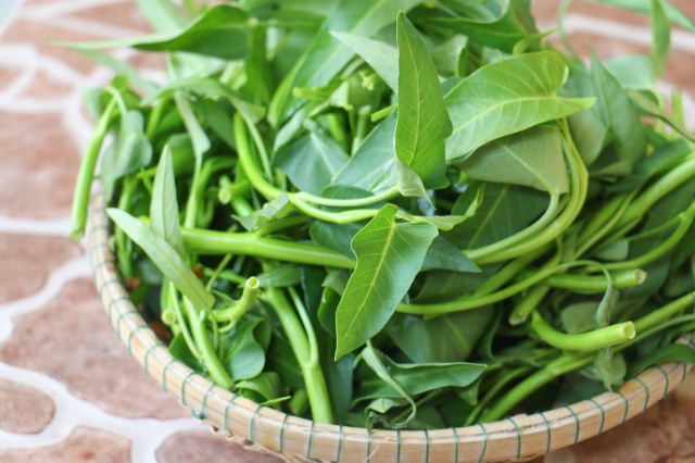 C&aacute;ch ph&acirc;n biệt rau muống sạch đơn giản nhất