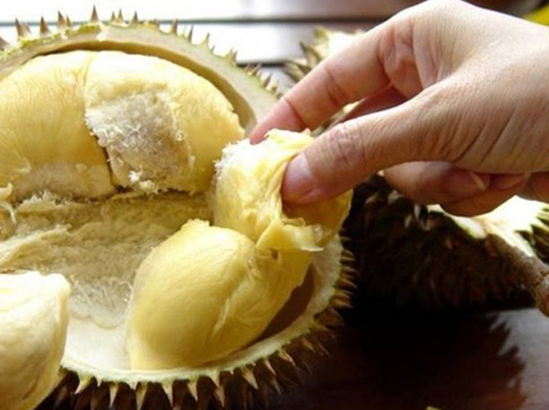 C&aacute;ch ph&acirc;n biệt sầu ri&ecirc;ng nh&uacute;ng thuốc v&agrave; sầu ri&ecirc;ng ch&iacute;n tự nhi&ecirc;n