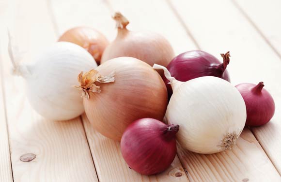 ph&acirc;n biệt h&agrave;nh t&acirc;y việt nam v&agrave; h&agrave;nh t&acirc;y trung quốc