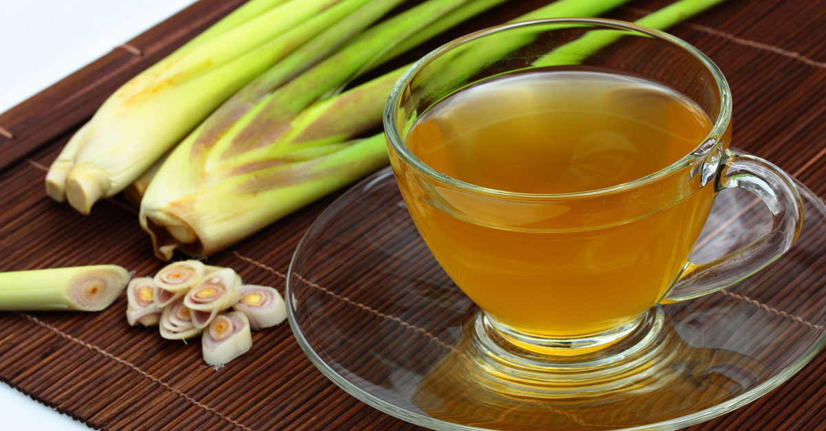 Trong cây sả có nhiều chất chống ung thư Trong cây sả có nhiều chất chống ung thư