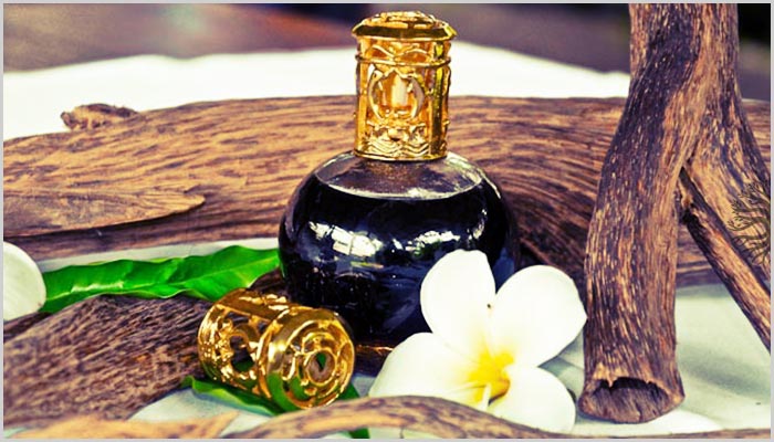 Tinh dầu là một trong những cách phòng tránh ung thư cực hiểu quả ít người biết đến Tinh dầu là một trong những cách phòng tránh ung thư cực hiểu quả ít người biết đến
