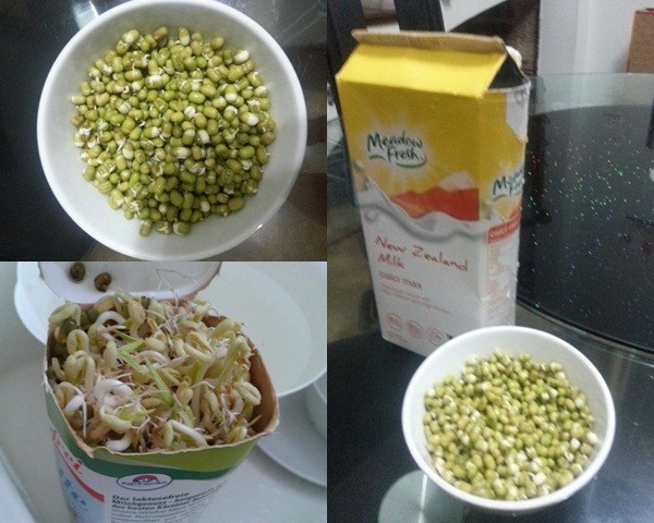 C&aacute;ch l&agrave;m gi&aacute; đỗ bằng vỏ hộp sữa