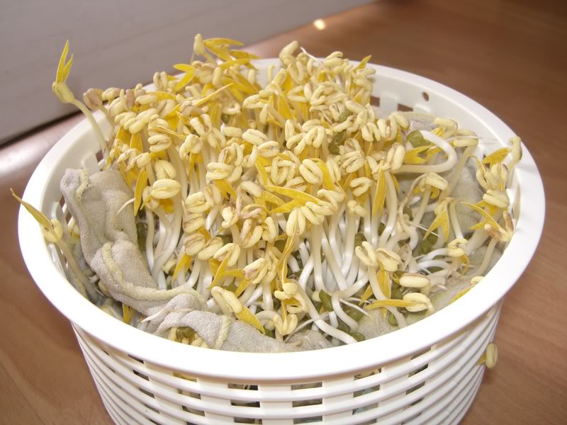 L&agrave;m gi&aacute; đỗ bằng rổ nhựa