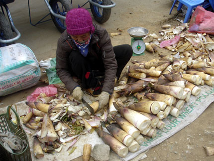C&aacute;ch l&agrave;m măng tươi kh&ocirc;ng bị đắng