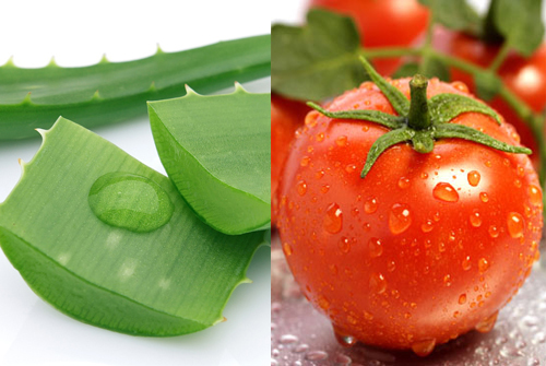 C&aacute;ch kết hợp c&agrave; chua với nha đam gi&uacute;p l&agrave;m trắng da nhanh ch&oacute;ng hơn