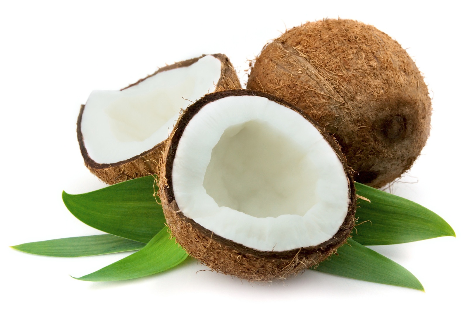 Tích cực ăn cơm dừa đ&ecirc;̉ tăng c&acirc;n nhanh chóng