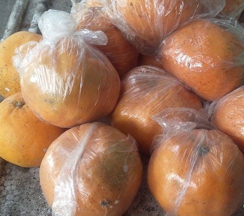 Cam được bọc trong c&aacute;c bao nilon mỏng