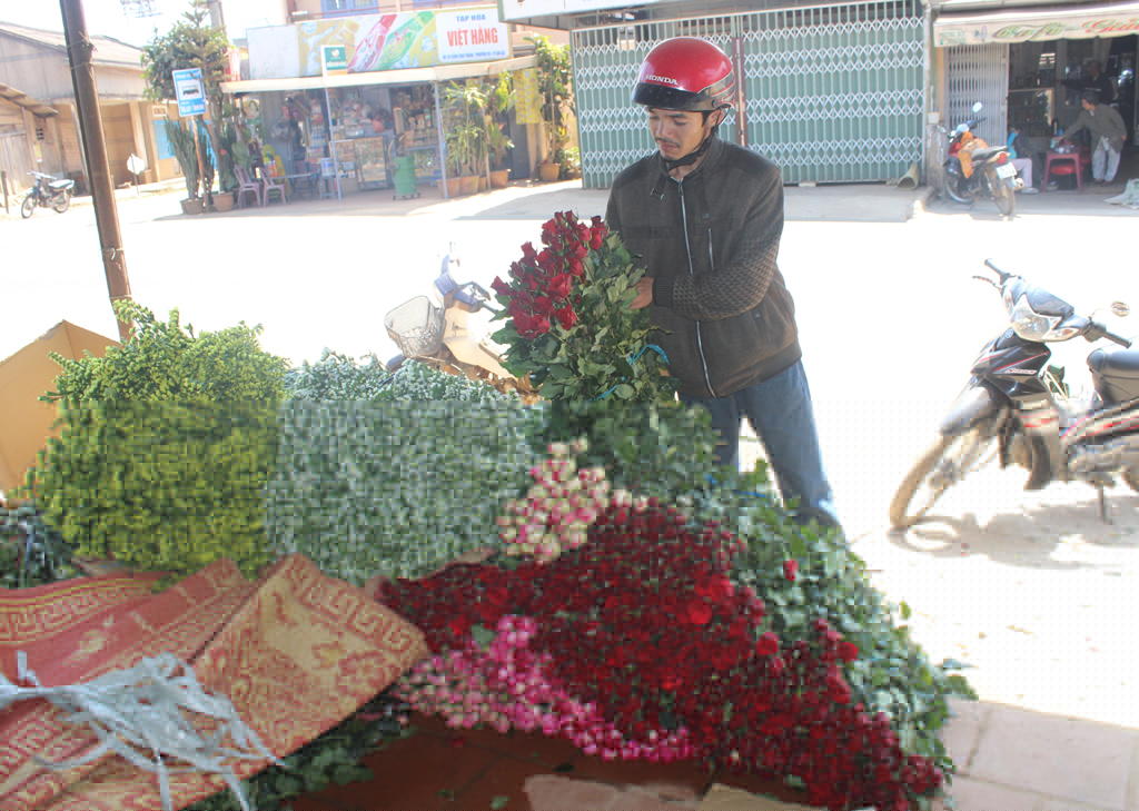 Hoa hồng Đ&agrave; Lạt cho Valentine tăng gi&aacute; 5 lần vẫn kh&ocirc;ng đủ h&agrave;ng