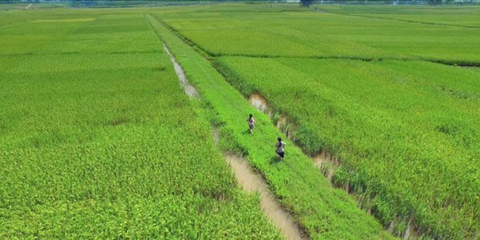 &ldquo;Cuộc đời của Yến&rdquo; đ&atilde; g&acirc;y sự ch&uacute; &yacute; bởi h&igrave;nh ảnh đẹp như thơ h&ograve;a quyện với giọng h&aacute;t đặc biệt của L&ecirc; C&aacute;t Trọng L&yacute;