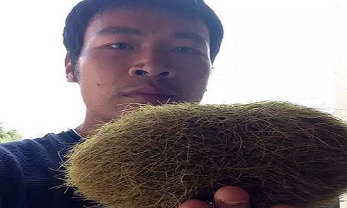 cat-lon-trung-la-trong-bung-lon-trung-quoc