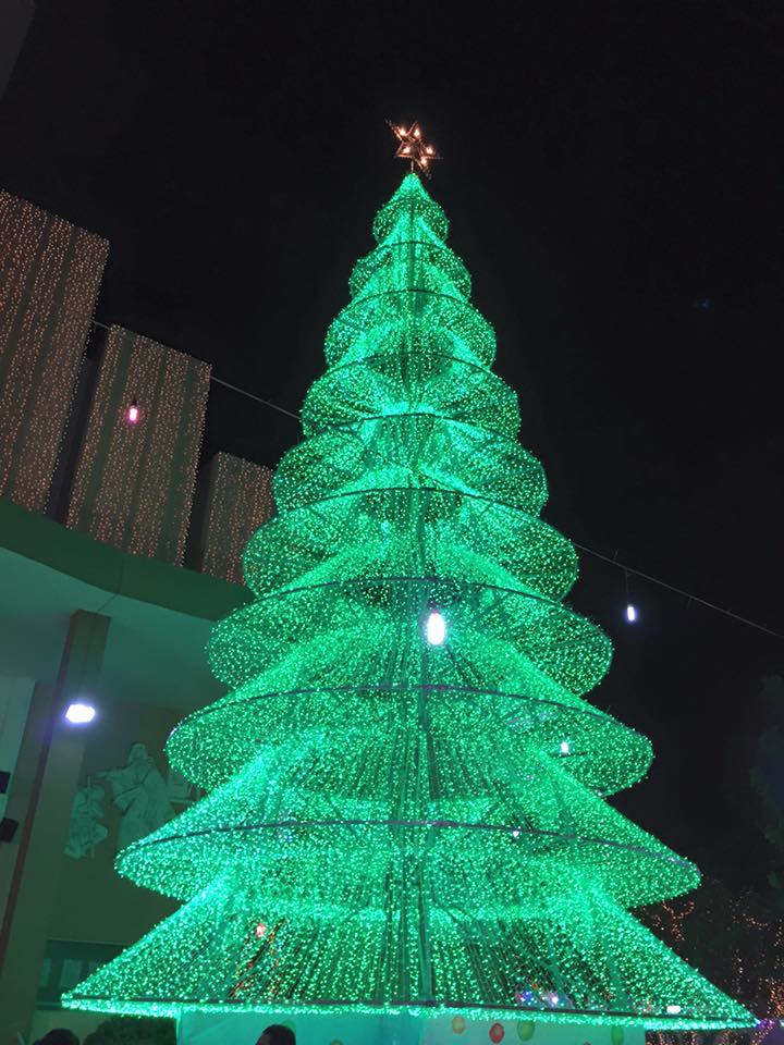 Cây thông Noel rực sáng tại nhà thờ Tân Phú (TPHCM)