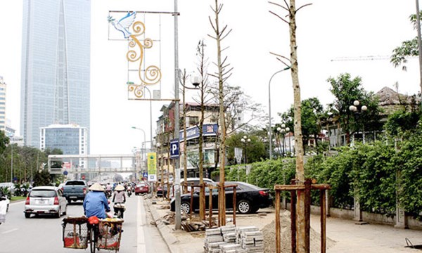 Thanh tra H&agrave; Nội ch&iacute;nh thức c&ocirc;ng bố sai phạm vụ chặt c&acirc;y xanh