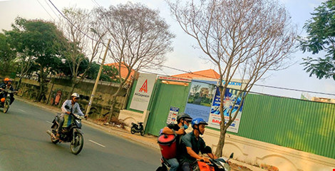 ba c&acirc;y lim s&eacute;t tr&ecirc;n đường Nguyễn Văn Hưởng (quận 2) cũng chết kh&ocirc;