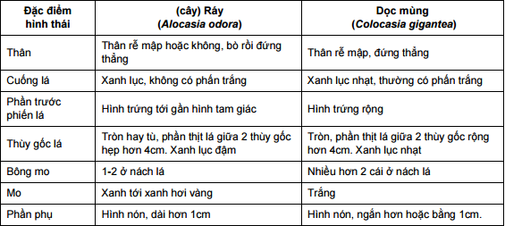 C&aacute;ch ph&acirc;n biệt dọc m&ugrave;ng v&agrave; r&aacute;y tr&aacute;nh ngứa &lsquo;r&aacute;ch miệng&rsquo;