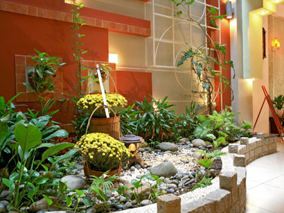 Trẻ cũng dễ bốc sỏi ở gốc c&acirc;y cảnh ăn