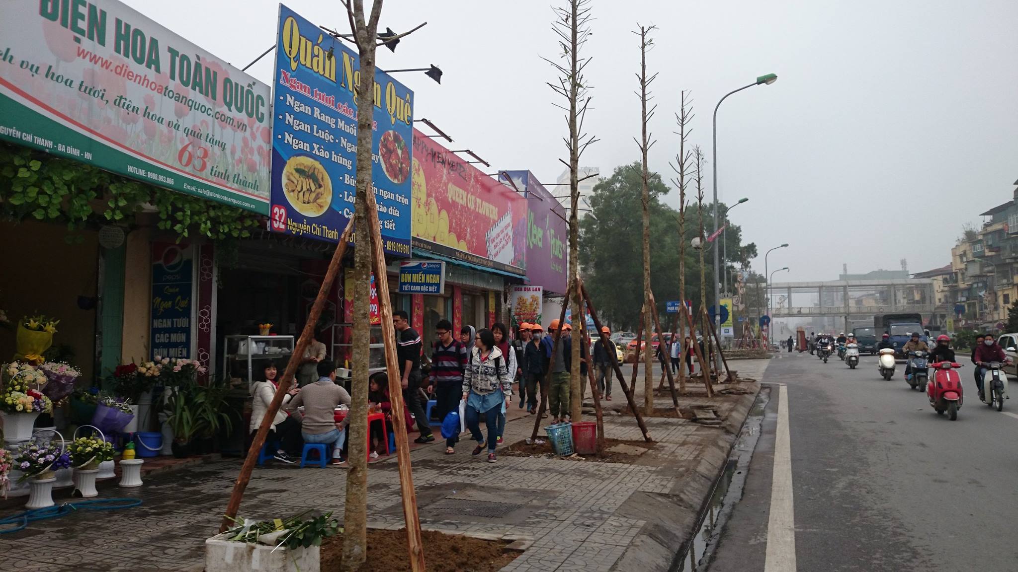 H&agrave; Nội thay thế c&acirc;y xanh
