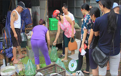 Kiếm tiền triệu từ tiền c&ocirc;ng ch&agrave; vỏ sấu